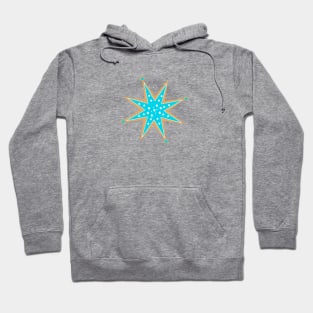 Snowflake Cookie Hoodie